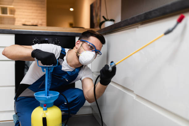 Best Rat Extermination Near Me  in Tipp City, OH