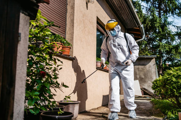 Best Pest Prevention Services  in Tipp City, OH