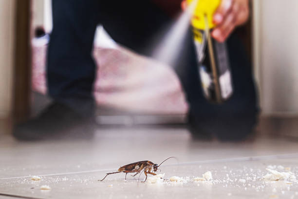 Best Termite Control Services  in Tipp City, OH